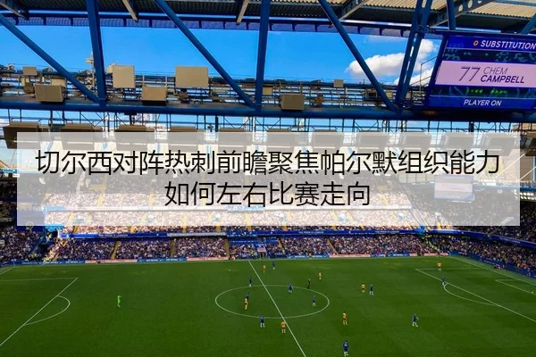 切尔西对阵热刺前瞻聚焦帕尔默组织能力如何左右比赛走向