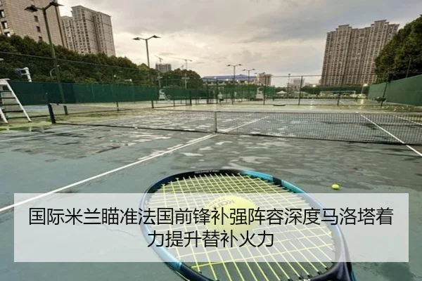 国际米兰瞄准法国前锋补强阵容深度马洛塔着力提升替补火力